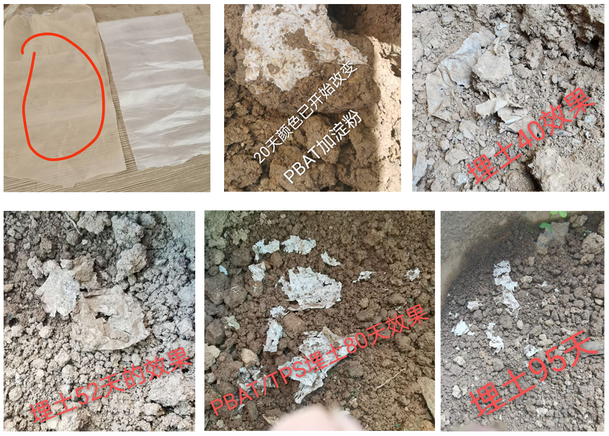 M&aacute;quina de fabricaci&oacute;n de gr&aacute;nulos biocompostables